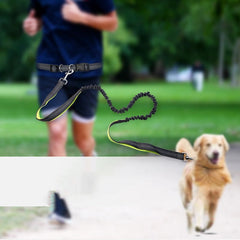 Cinturón para pasear perros con correa amortiguadora extraíble